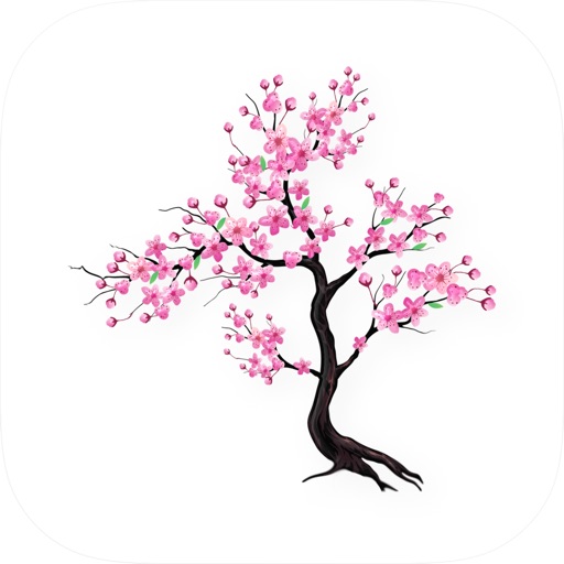Timefully - Meditation Timer: Ulasan Pemasa Meditasi Terbaik